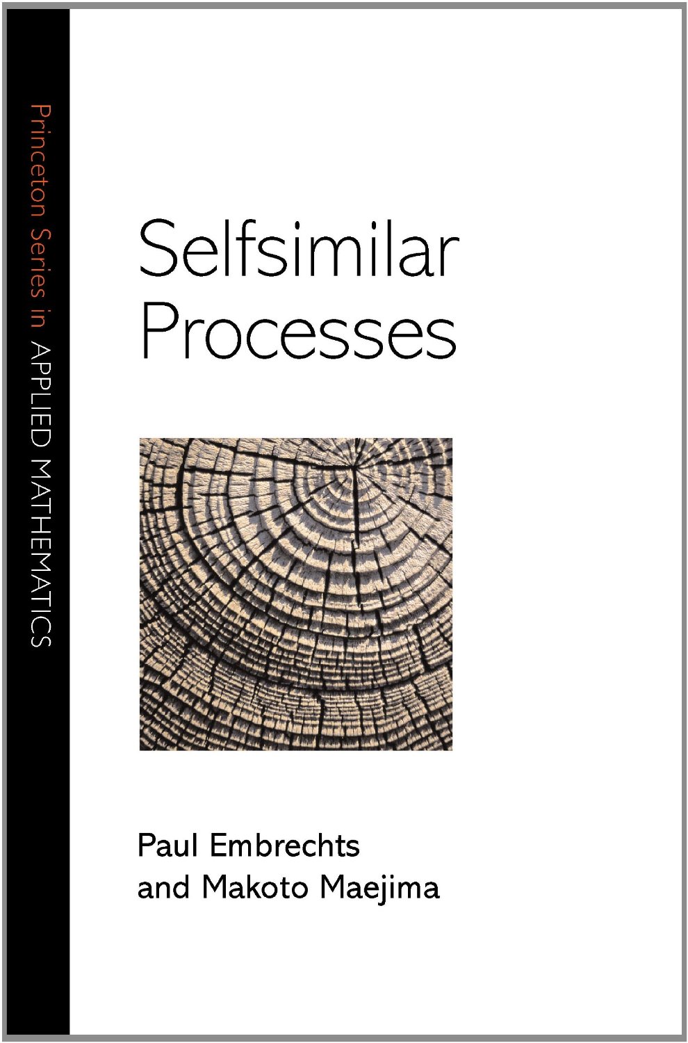 Selfsimilar_Processes